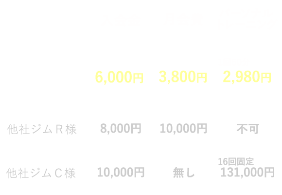 価格比較表
